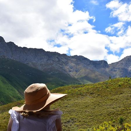 Vredehoek Guest Farm Breërivier المظهر الخارجي الصورة
