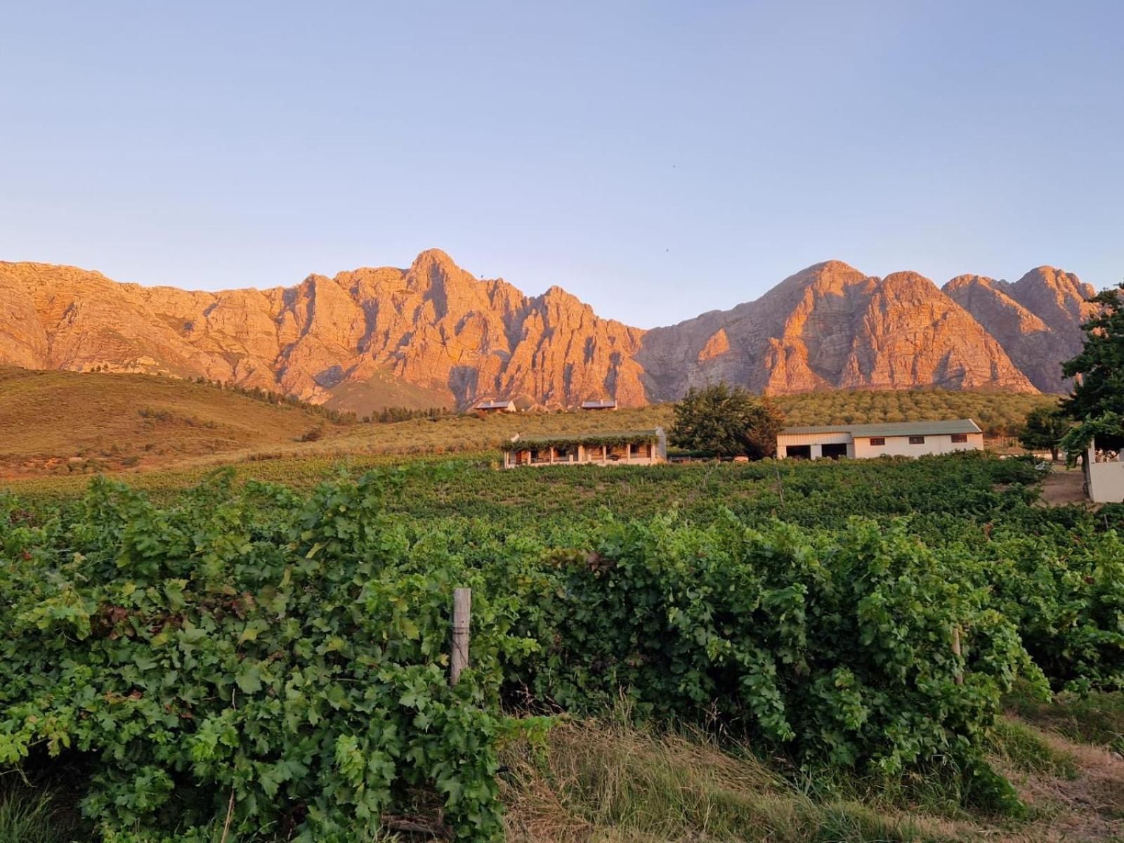 Vredehoek Guest Farm Breërivier المظهر الخارجي الصورة